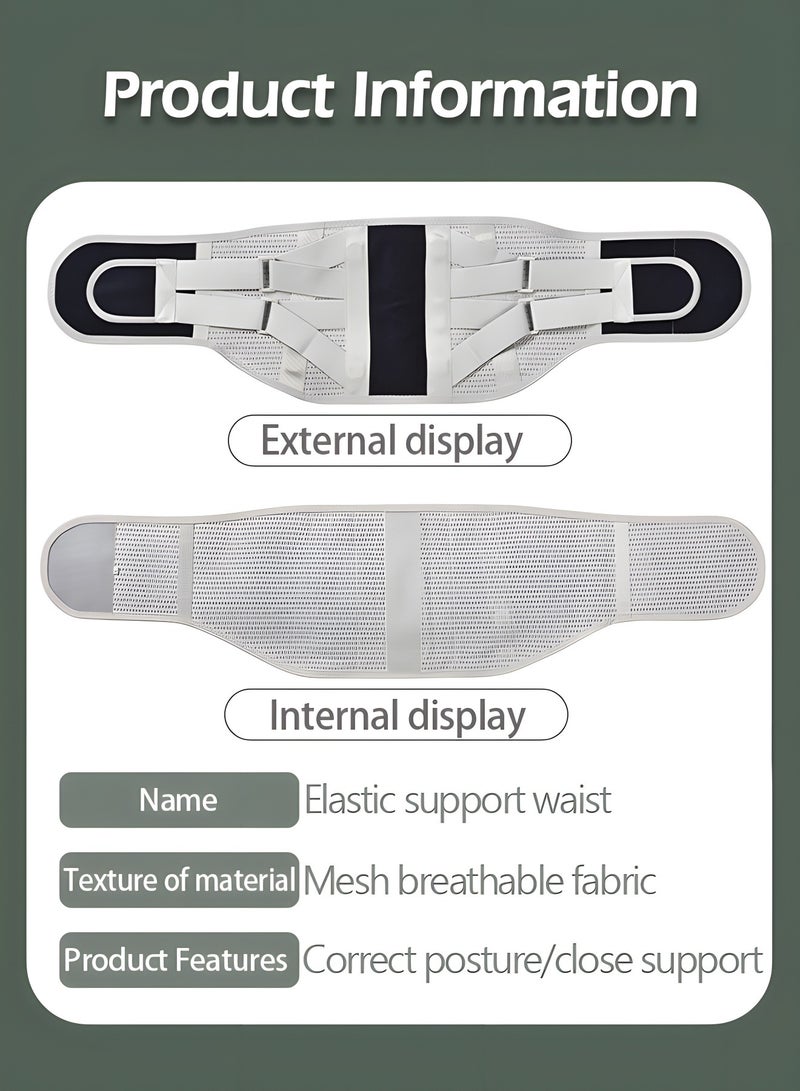 Lumbar Support Belt Lumbosacral Back Brace,Breathable Back Support Belt, Lower Back Pain Relief Warmer Stretcher for Herniated Disc, Sciatica, Scoliosis(L)