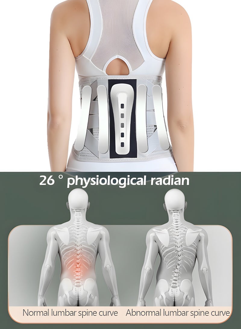 Lumbar Support Belt Lumbosacral Back Brace,Breathable Back Support Belt, Lower Back Pain Relief Warmer Stretcher for Herniated Disc, Sciatica, Scoliosis(L)