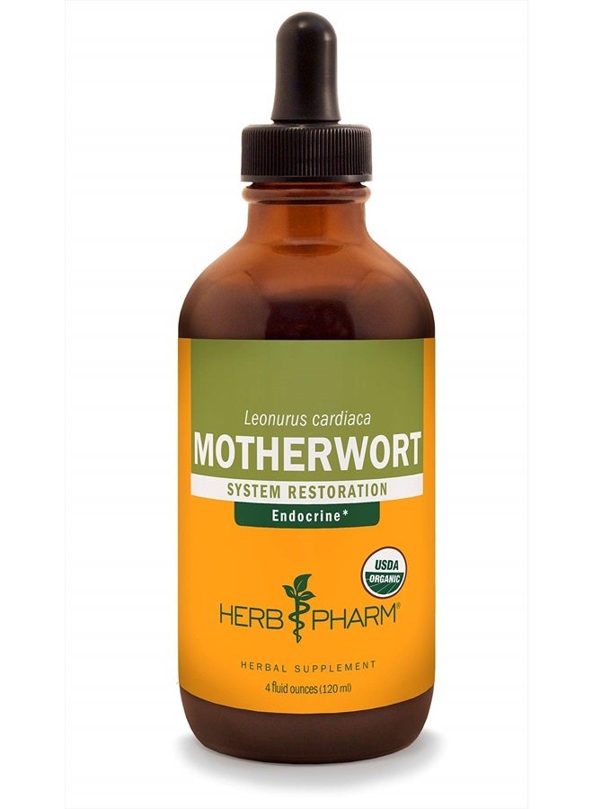 Certified Organic Motherwort Liquid Extract for Endocrine System Support - 4 Ounce