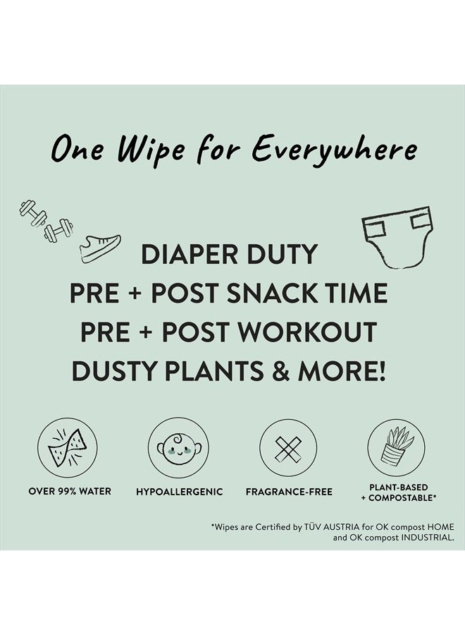 Clean Conscious Unscented Wipes | Over 99% Water, Compostable, Plant-Based, Baby Wipes | Hypoallergenic for Sensitive Skin, EWG Verified | Balance Blues, 576 Count