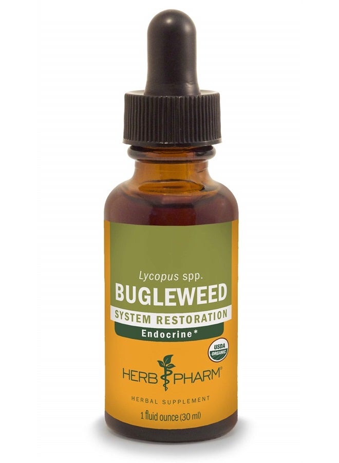 Bugleweed Extract for Endocrine System Support - 1 Ounce