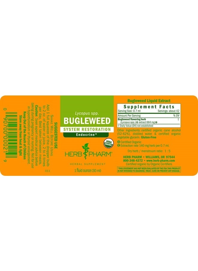 Bugleweed Extract for Endocrine System Support - 1 Ounce