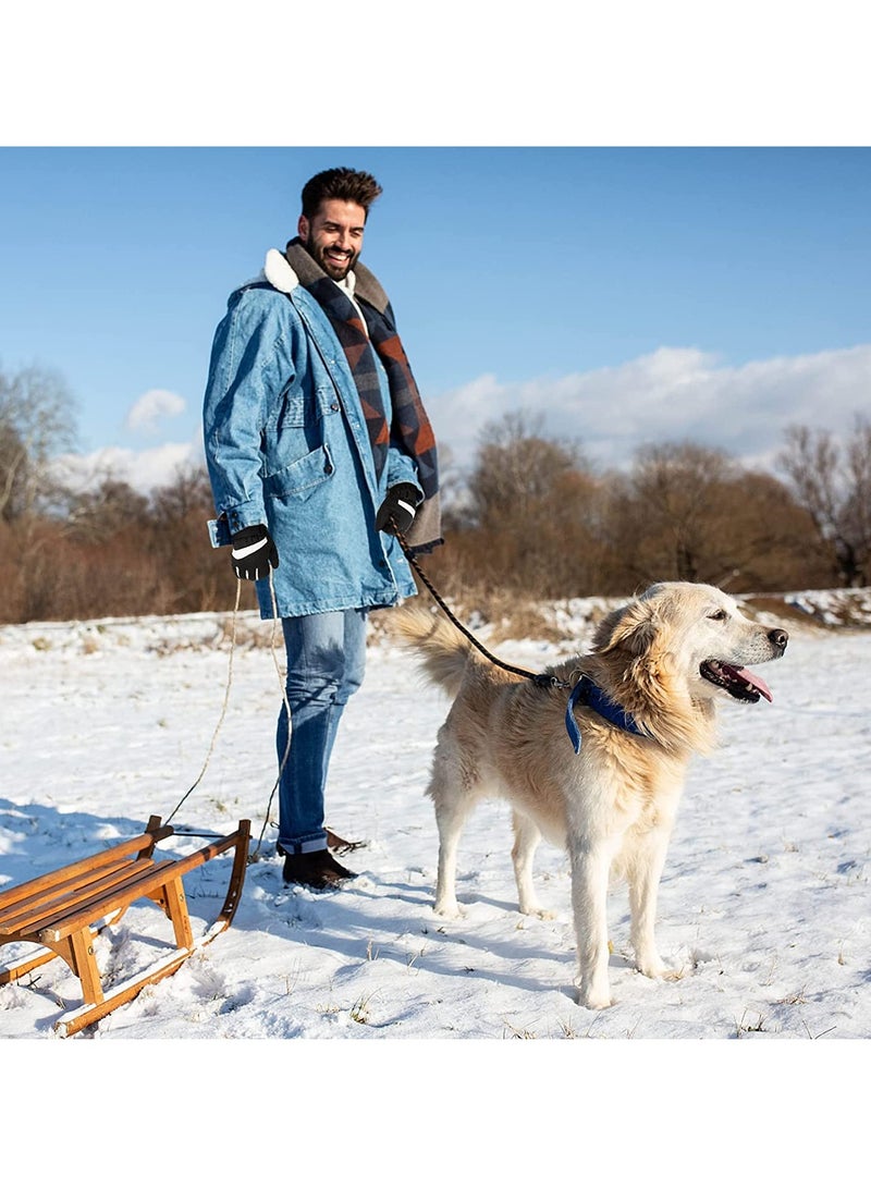 Snow Ski Gloves Waterproof, Ski Gloves Women -30°F Waterproof Winter Gloves Touchscreen Snow Gloves Women Men Warm Windproof Snowboard Gloves for Cold Weather (L)