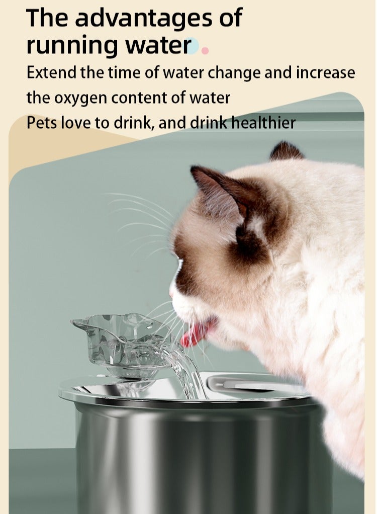 Pet Water Fountain 304 Stainless Steel, 2L Automatic Water Dispenser with Ultra-Quiet Pump with Filters Drinking Bowl for Cats