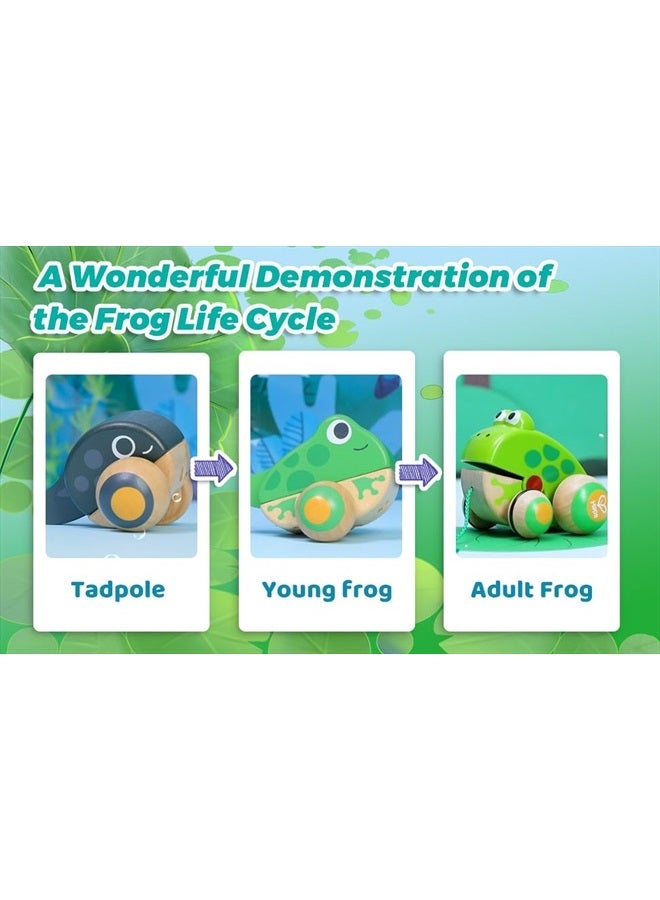 Pull Along Frog Family with Anti-Rollover Wheels, Toddler Push and Pull Toys
