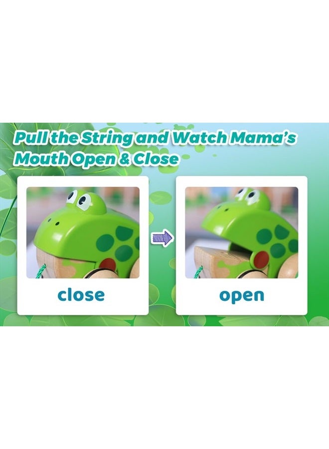 Pull Along Frog Family with Anti-Rollover Wheels, Toddler Push and Pull Toys
