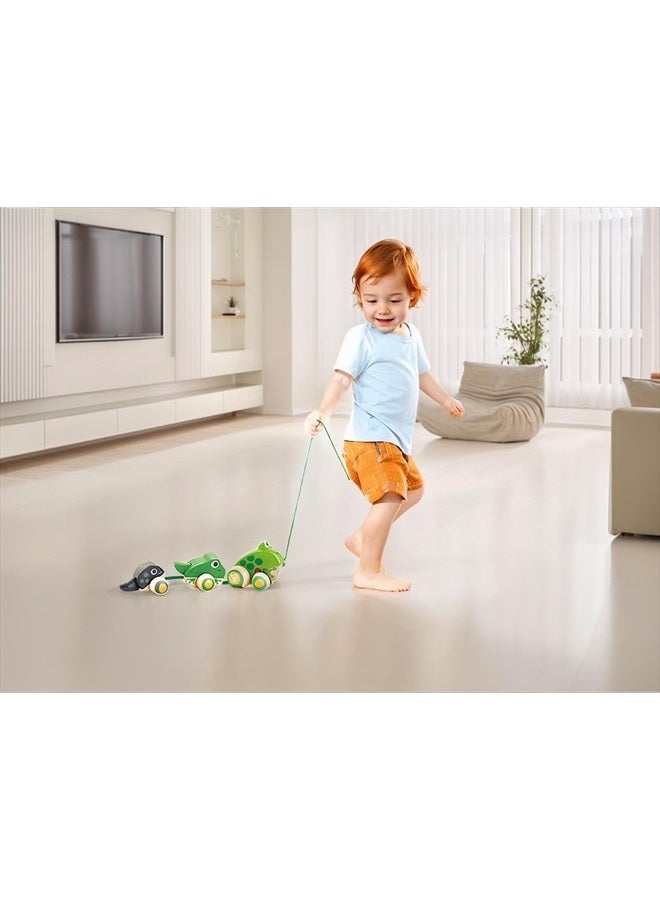 Pull Along Frog Family with Anti-Rollover Wheels, Toddler Push and Pull Toys