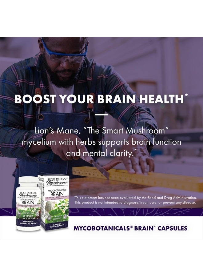 MycoBotanicals Brain* Capsules - Brain Support Supplement with Lion's Mane, Reishi & Cordyceps Mushroom - Herbal Supplement for Memory & Focus Support - 60 Capsules (30 Servings)*