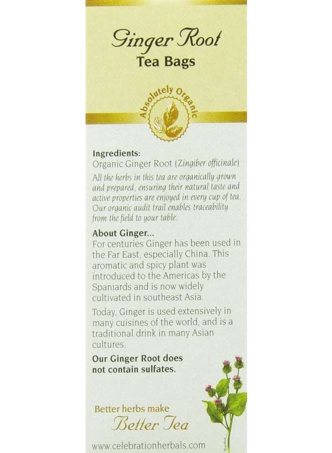 CELEBRATION HERBALS Ginger Root Tea Organic 24 Bag, 0.02 Pound