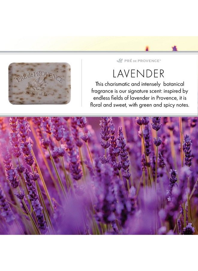 Artisanal Soap Bar Enriched With Organic Shea Butter Natural French Skincare Quad Milled For Rich Smooth Lather Lavender 8.8 Ounce