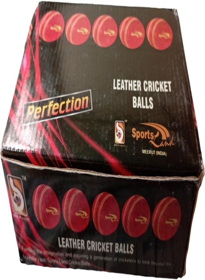 CRICKET HARD BALL(6 pack)