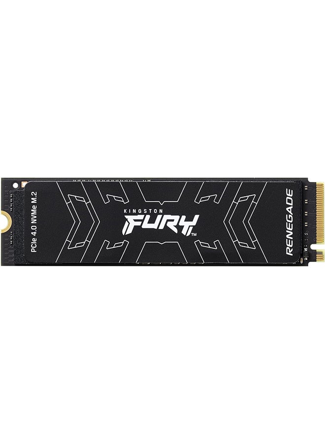 500G FURY RENEGADE M.2 2280 PCIe 4.0 NVM 500 GB