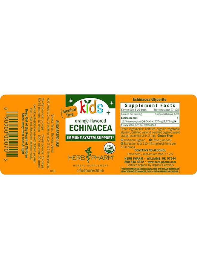 Kids Echinacea Immune System Support Herbal Supplement Orange Flavor Alcohol Free 30Ml