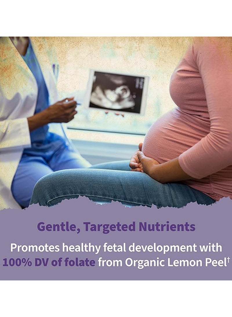 Garden Of Life Organics Prenatal Once Daily Whole Food Multi Vitamin 90 Vegan Tablets