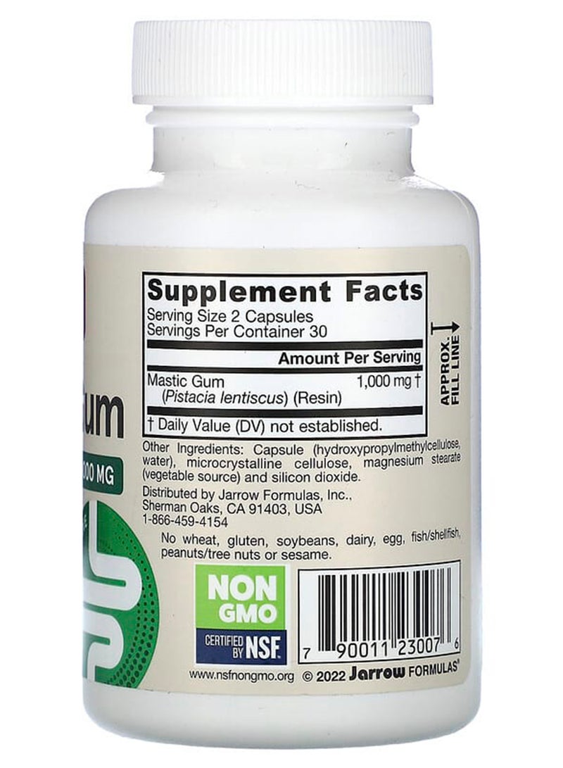 Mastic Gum Supports The Stomach And Duodenal Health 60-Tablet