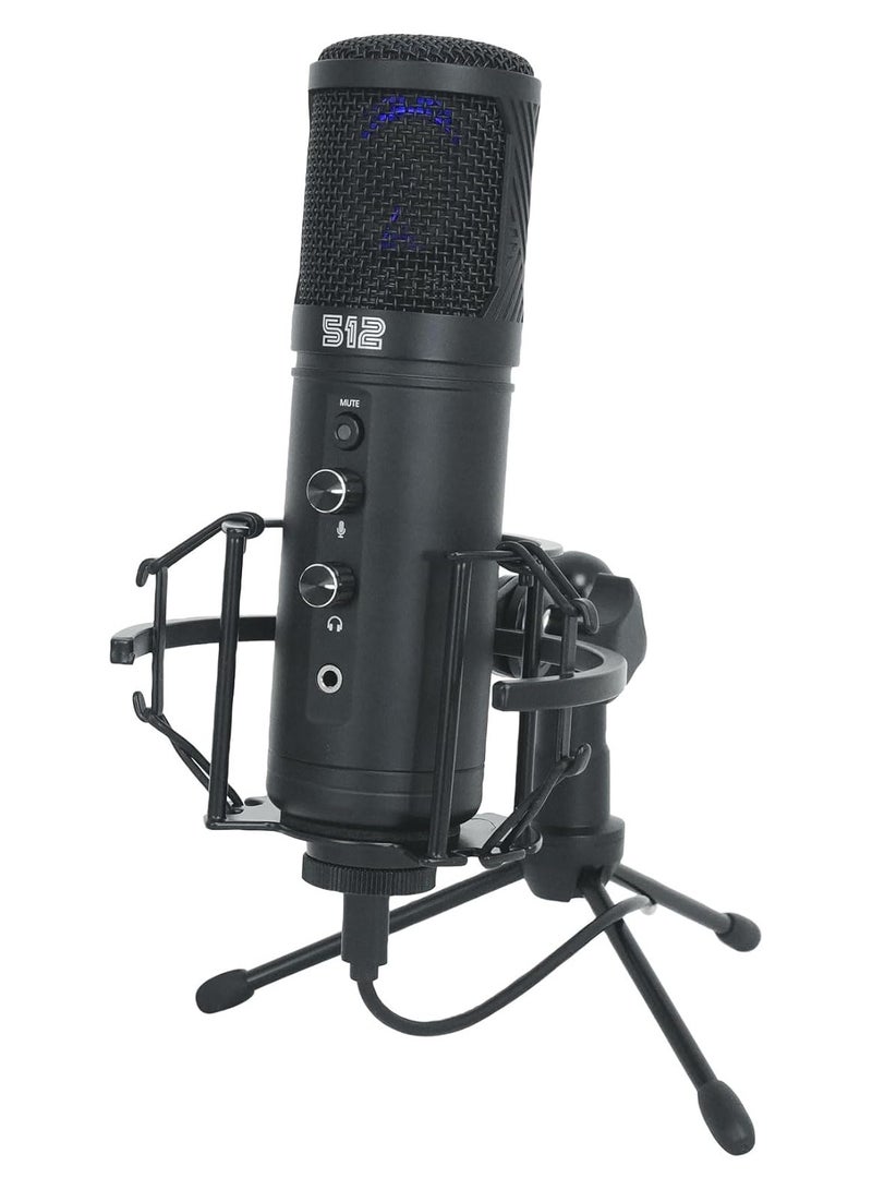 Tempest Large-Diaphragm Studio Condenser USB Mic