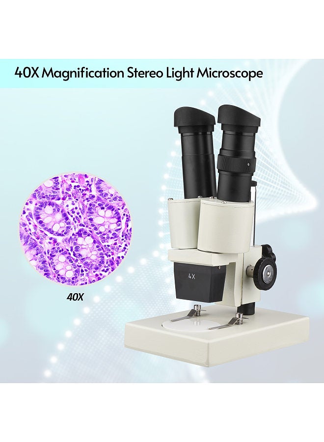 40X Magnification Stereo Light Microscope Compound Binocular Microscope for Home School Laboratory Biological Education Machine Parts Texting Students Kids Adults