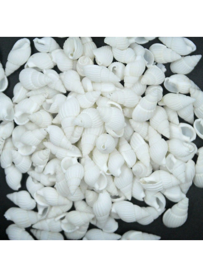 100-Piece Beautiful Rare Real Sea Shell Conches For Xmas Decoration White 1centimeter