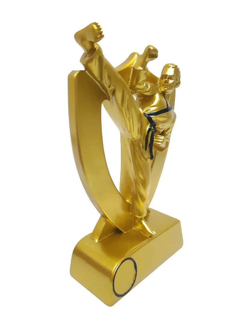 Karate Trophy electroplating crafts