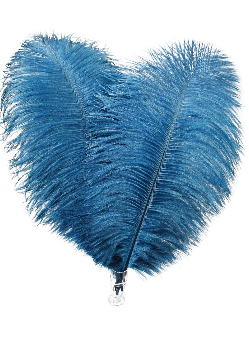 Natural White Ostrich Feathers 10 pcs 30-35 cm for Wedding Party Centerpieces Flower packaging Home Decorations (Blue)