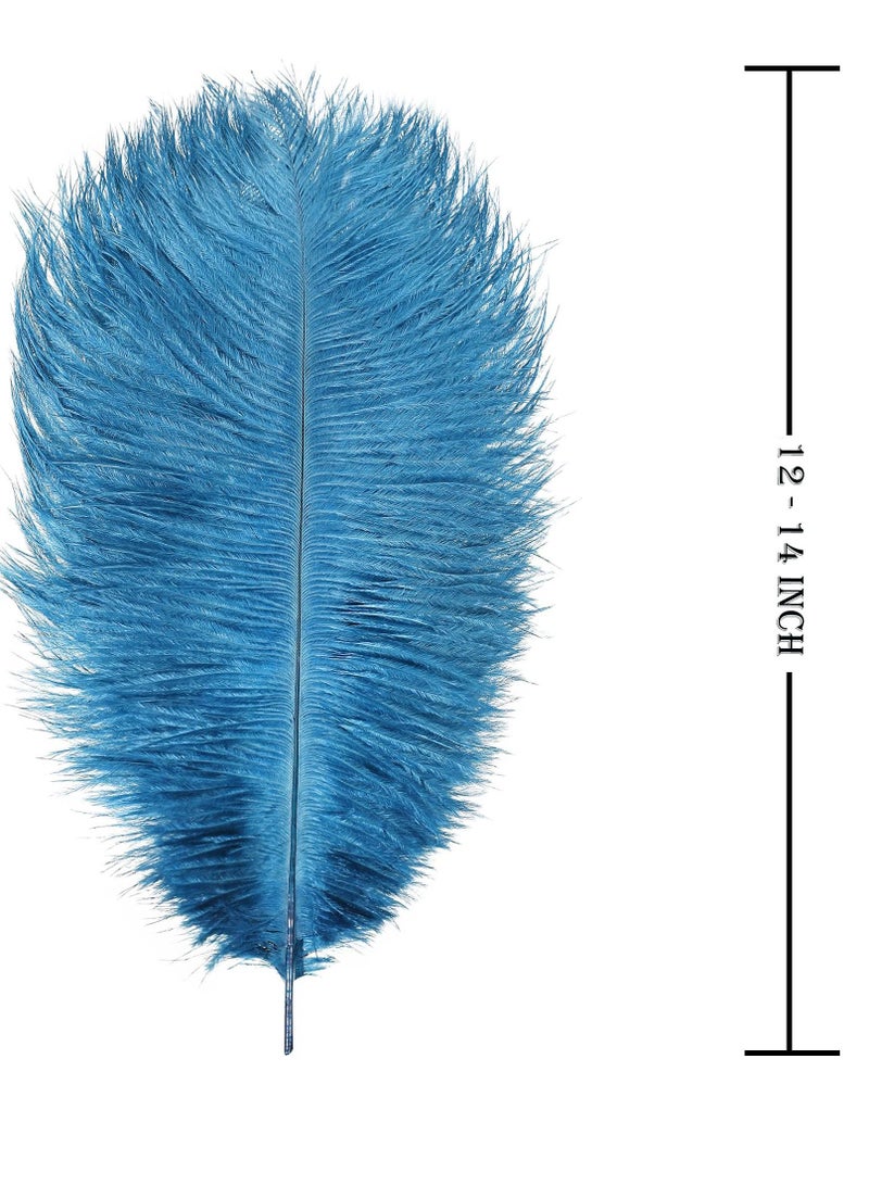 Natural White Ostrich Feathers 10 pcs 30-35 cm for Wedding Party Centerpieces Flower packaging Home Decorations (Blue)