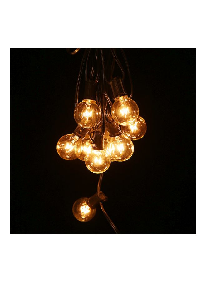 G40 LED Fairy String Light Warm White