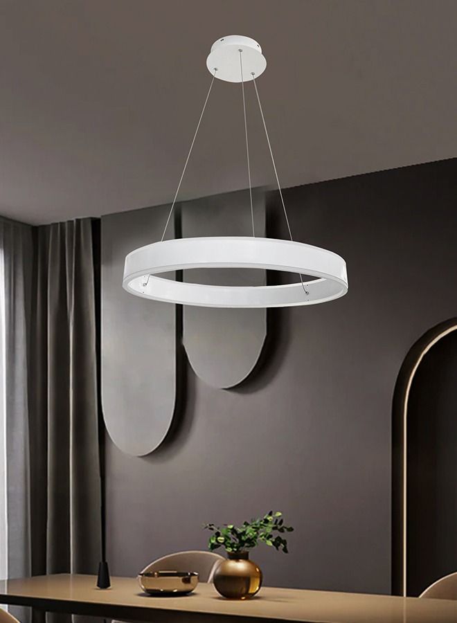 Modern Led Hanging Pendant Light 60cm