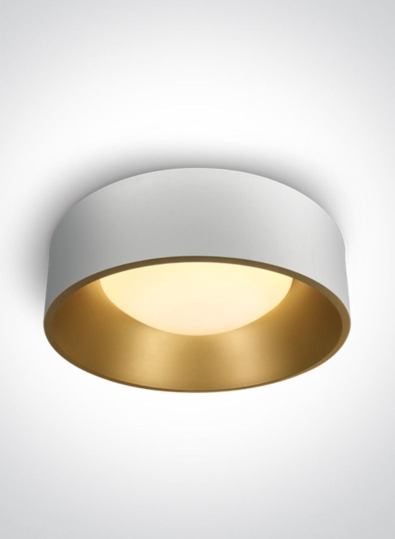 Circular Mounted LED Ceiling Lamp,30W;2,400 Lumen,CRI 90,Dia:48cm,H:14cm,Decorative Plafo,Ceiling Lamp for Bedroom/Living Room,White Outside/Brass inside,Warm White(3,000 Kelvin)with 500m driver