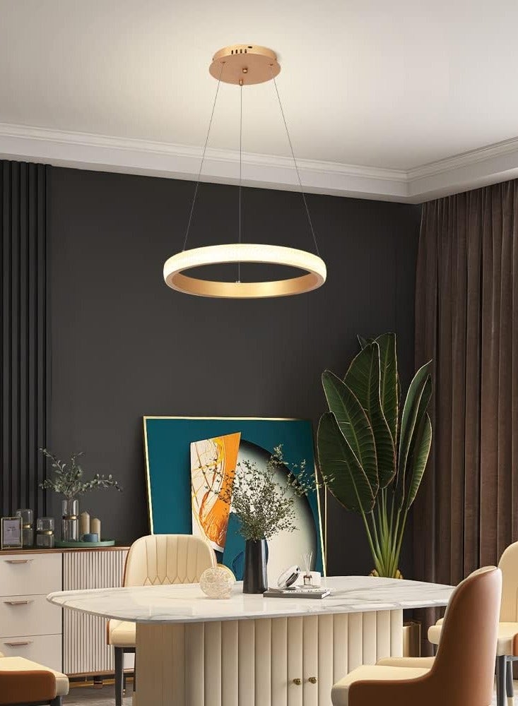 Modern LED Chandeliers Dining Room, Simplicity Gold Acrylic Ring Chandelier for Kichen Table,Study,Adjustable Color Temperature Chandelier Lamp