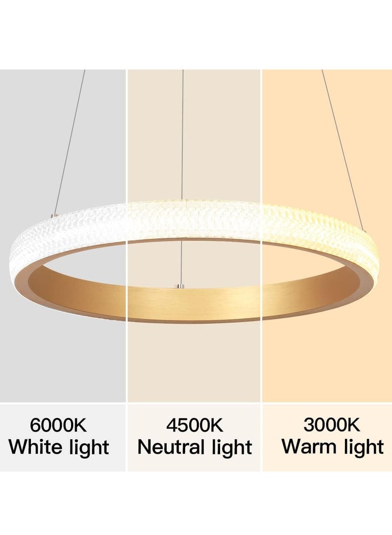 Modern LED Chandeliers Dining Room, Simplicity Gold Acrylic Ring Chandelier for Kichen Table,Study,Adjustable Color Temperature Chandelier Lamp