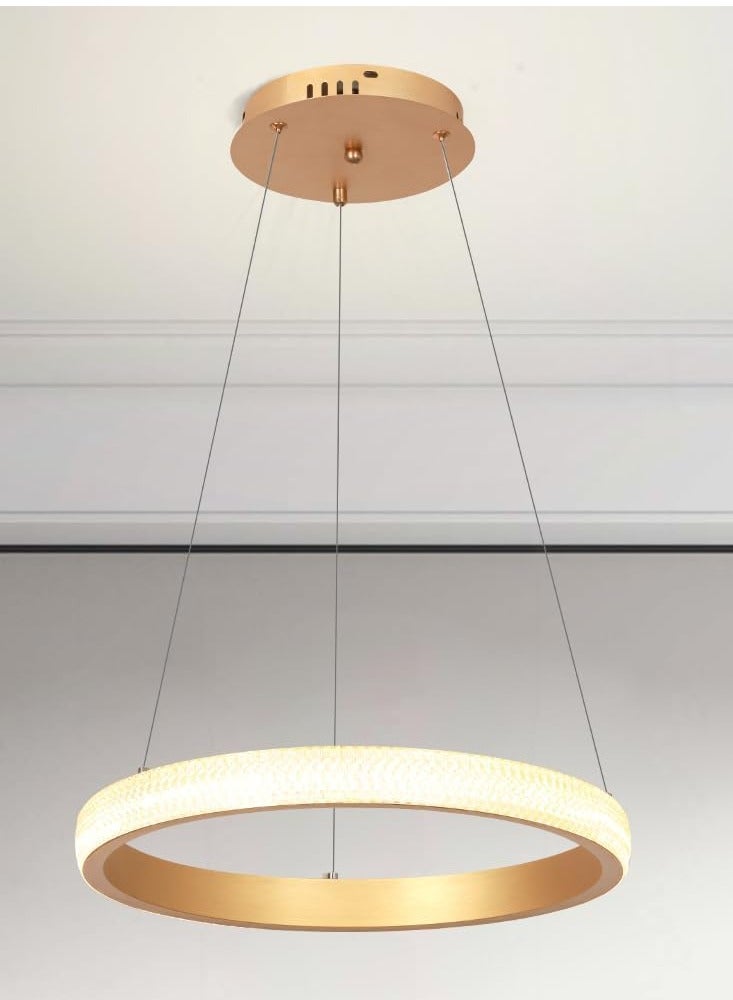 Modern LED Chandeliers Dining Room, Simplicity Gold Acrylic Ring Chandelier for Kichen Table,Study,Adjustable Color Temperature Chandelier Lamp