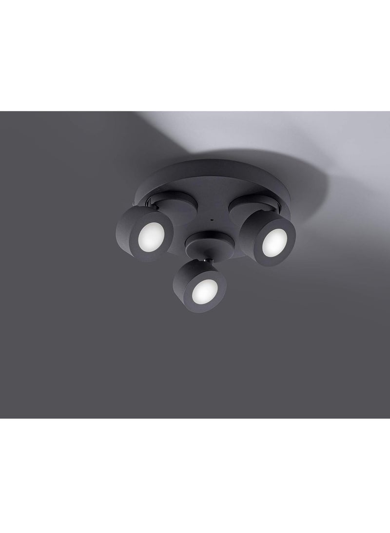 Spot SANCHO,3x 3w Color Adjustable Black LED Circular