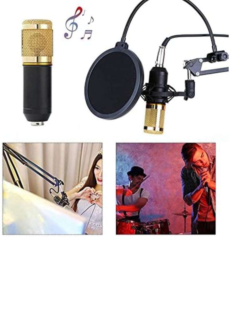 Professional Condenser Microphone With Patented Audio Reference Companding For Crystal - Clear Sound And Studio Recording Broadcasting Set Black/Gold