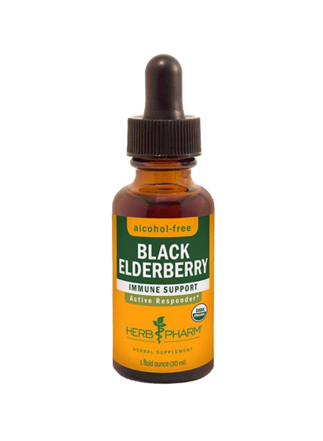 Black Elderberry Glycerite 1 OZ:00075