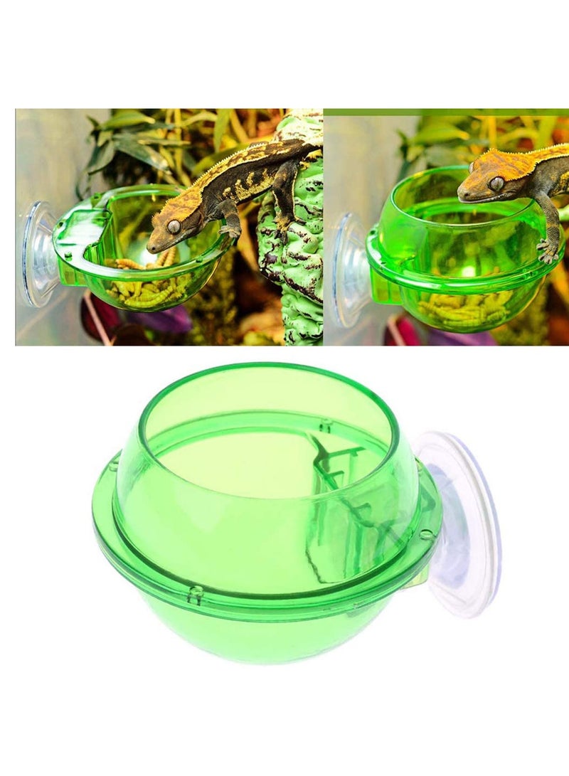 Reptile Food Water Bowl, 2 Pieces Reptile Feeding Bowl Reptile Feeder Suction Cup,for Small Animal Feeding Anti-Escape Lizard Chameleon Gecko, for Lizard Or Other Small Pet Amphibian Feeder