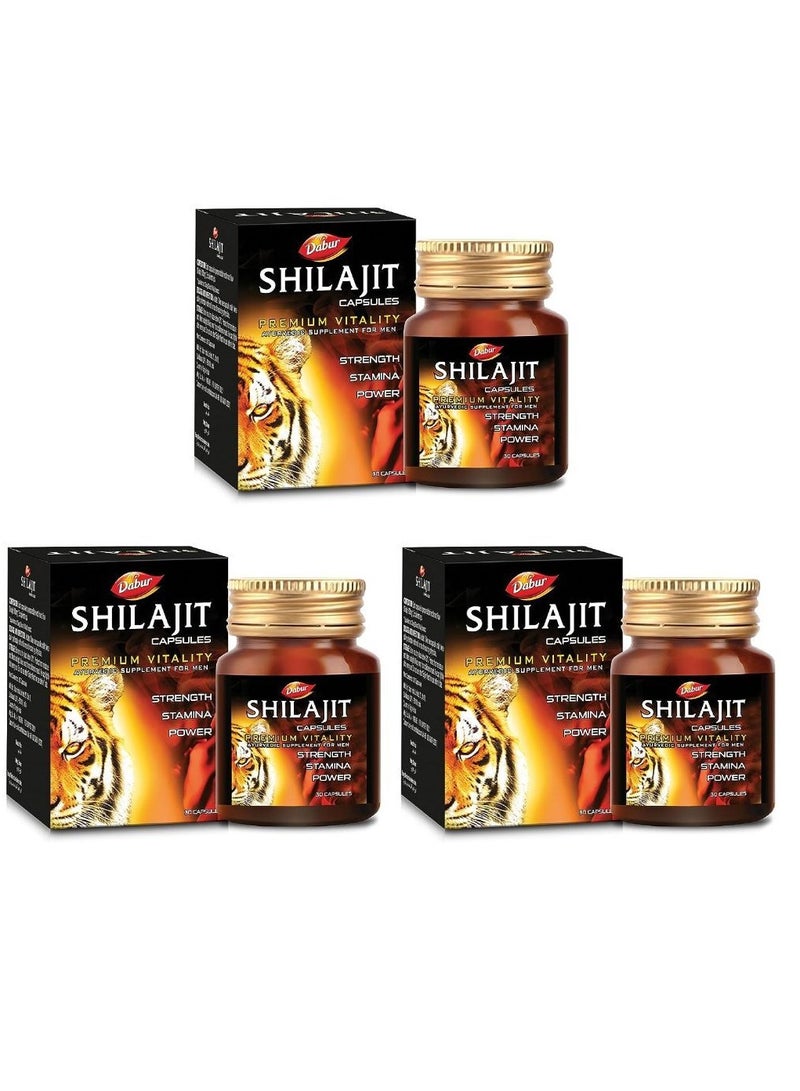 Shilajit 30 Caps - Pack of 2