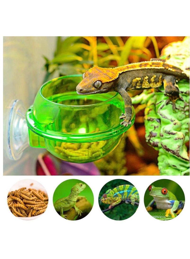 Reptile Food Water Bowl, 2 Pieces Reptile Feeding Bowl Reptile Feeder Suction Cup,for Small Animal Feeding Anti-Escape Lizard Chameleon Gecko, for Lizard Or Other Small Pet Amphibian Feeder