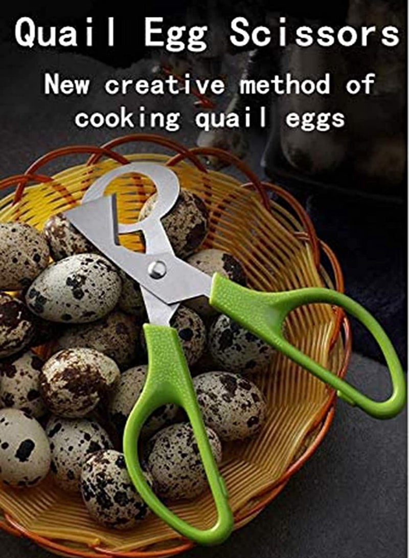 2pcs Stainless Steel P IGeon Quail Egg Scissors, Bird Egg Cutter Opener, Shears Tool for Home Kitchen, Green
