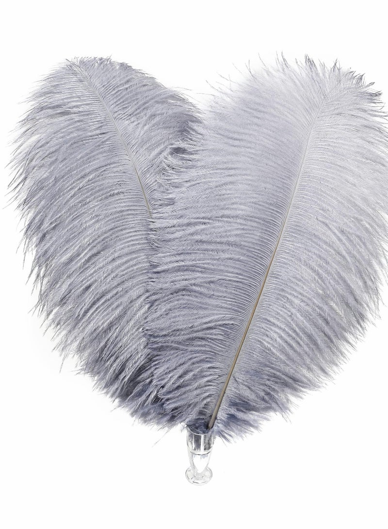 Natural White Ostrich Feathers 10 pcs 30-35 cm for Wedding Party Centerpieces Flower packaging Home Decorations (grey)