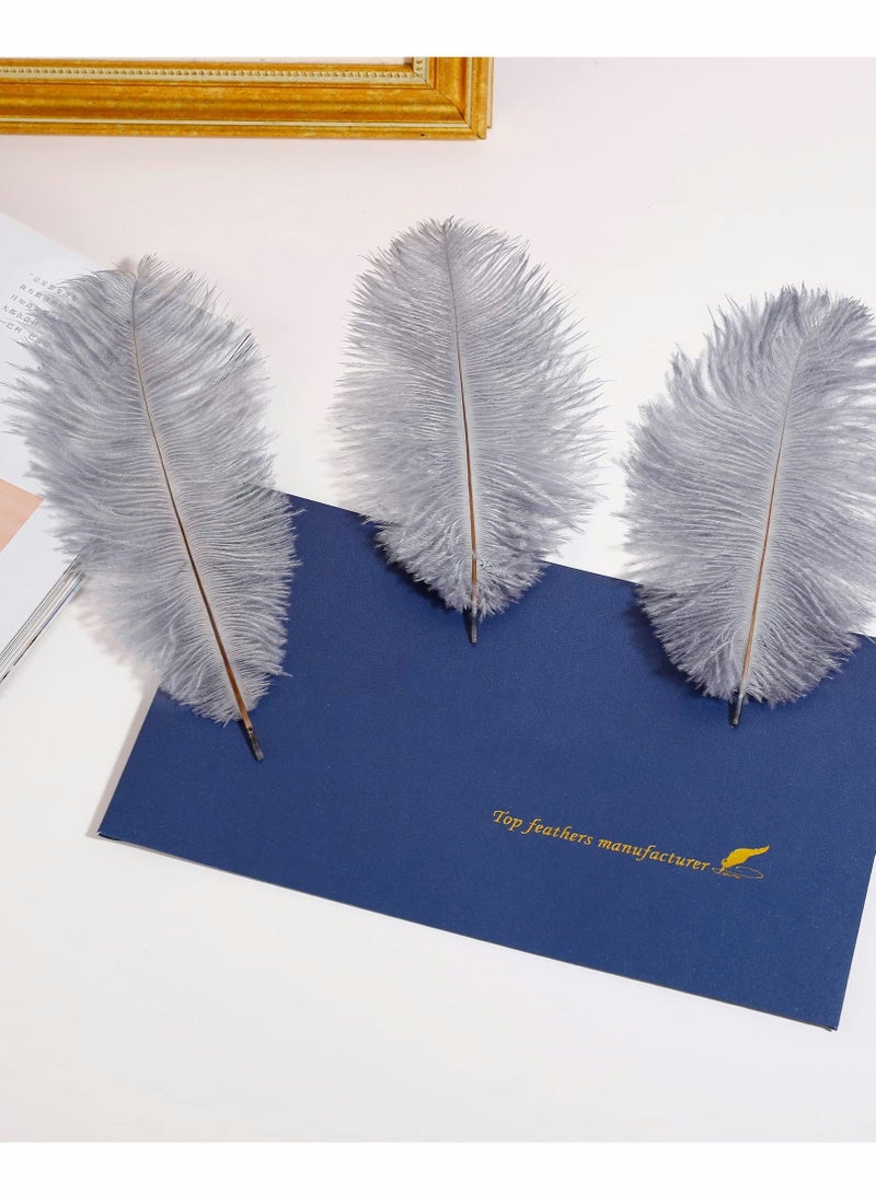 Natural White Ostrich Feathers 10 pcs 30-35 cm for Wedding Party Centerpieces Flower packaging Home Decorations (grey)