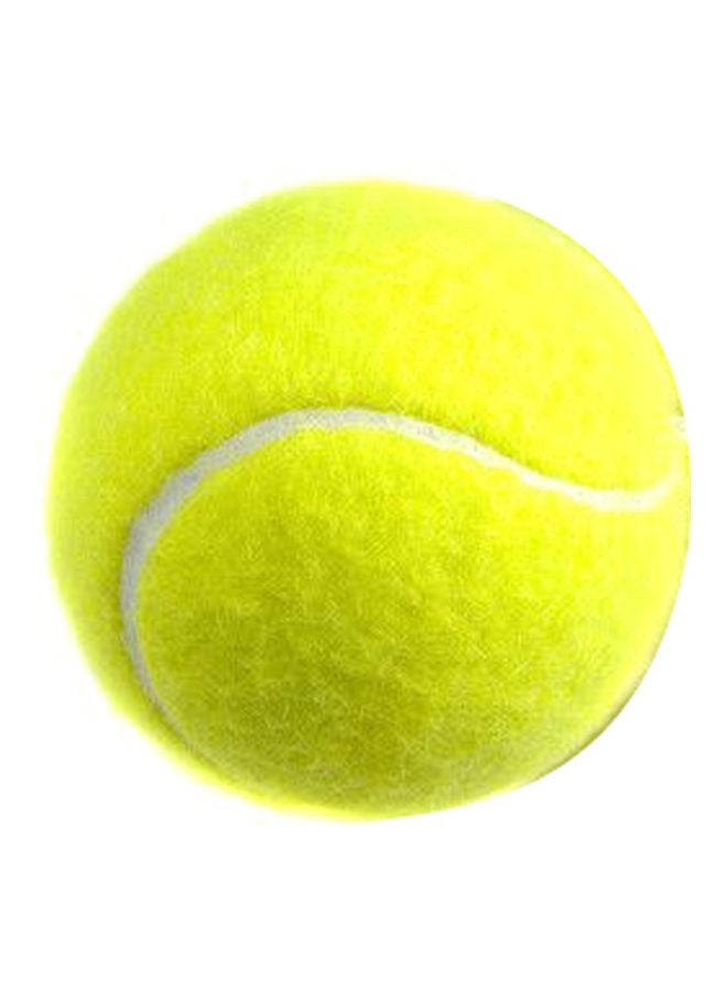 2-Piece Tennis Ball