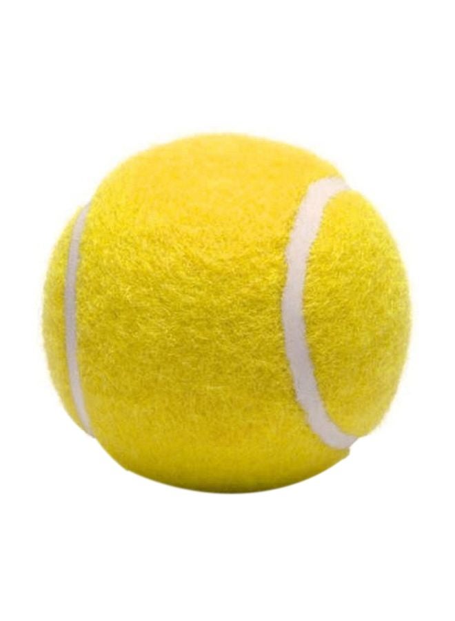 12-Piece Training Tennis Balls