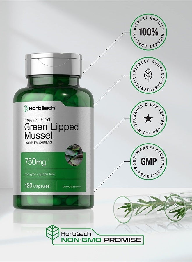 Green Lipped Mussel | 750 mg | 120 Capsules | from New Zealand | Premium Freeze Dried Mussel Powder | Non-GMO and Gluten Free