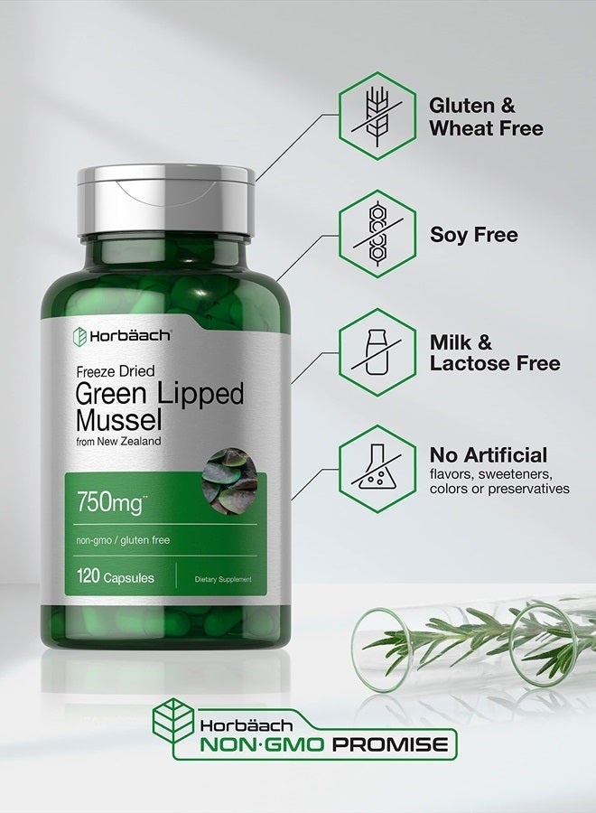 Green Lipped Mussel | 750 mg | 120 Capsules | from New Zealand | Premium Freeze Dried Mussel Powder | Non-GMO and Gluten Free