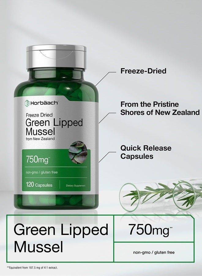 Green Lipped Mussel | 750 mg | 120 Capsules | from New Zealand | Premium Freeze Dried Mussel Powder | Non-GMO and Gluten Free