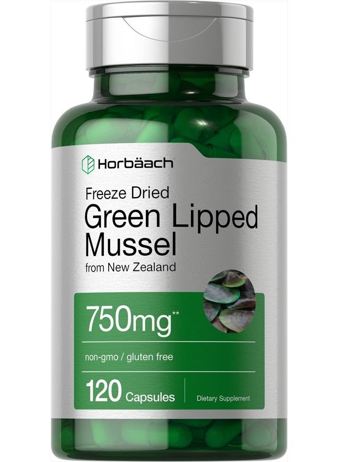 Green Lipped Mussel | 750 mg | 120 Capsules | from New Zealand | Premium Freeze Dried Mussel Powder | Non-GMO and Gluten Free