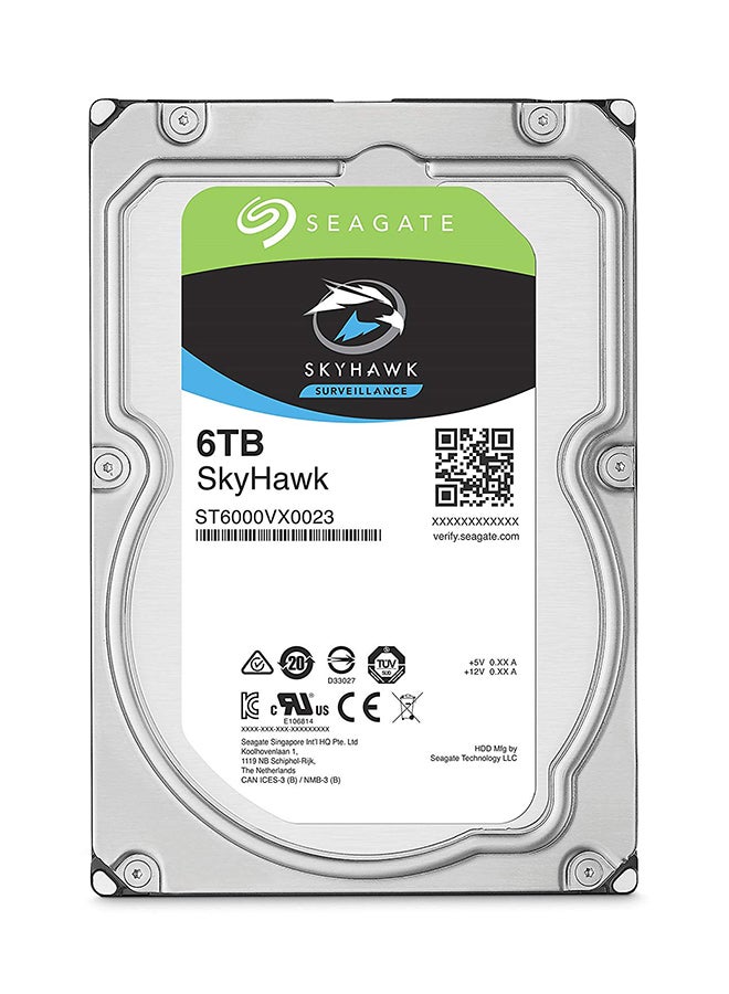 Skyhawk Surveillance SATA Hard Drive Silver