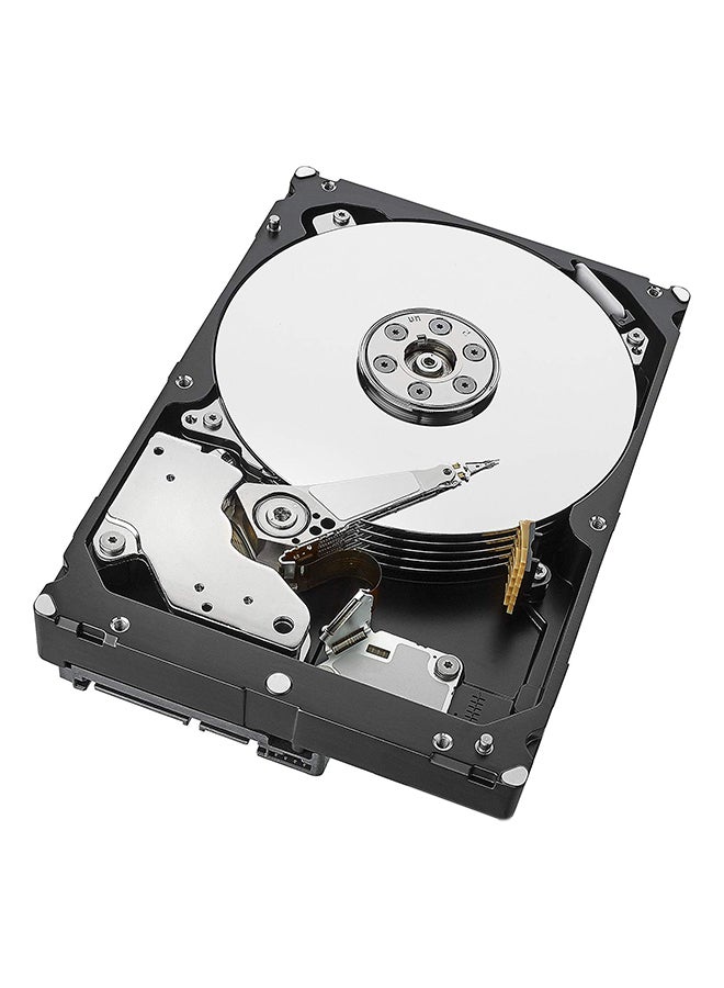 Skyhawk Surveillance SATA Hard Drive Silver