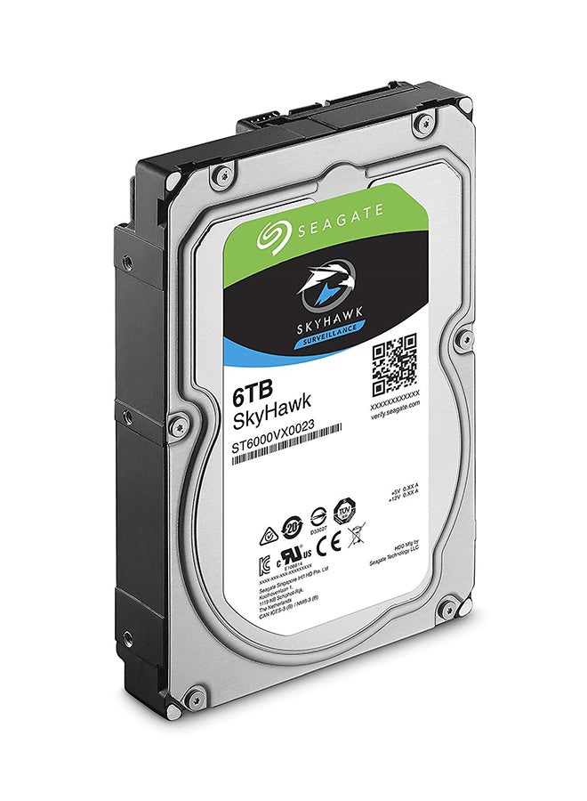 Skyhawk Surveillance SATA Hard Drive Silver