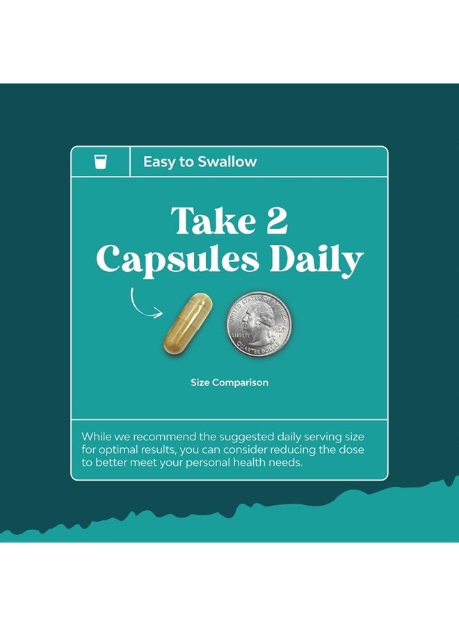 Liver Support Supplement with NAC - Herbal Liver Supplement with N Acetyl Cysteine Silymarin Milk Thistle Extract Dandelion Root Artichoke Extract Choline Bitartrate and Berberine for Liver Cleanse